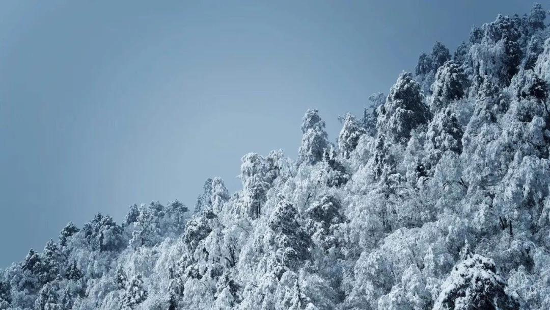 新天然气：全资子公司竞得两个区块的页岩气资源探矿权